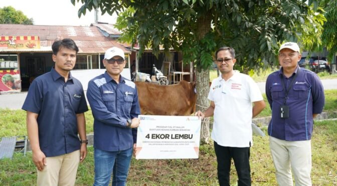 INALUM Bagi-bagi Hewan Kurban, Warga Sumut Senang!