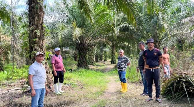 Manfaatkan Hari Libur, Kalapas Labuhan Ruku Soetopo Berutu Beserta Jajaran Tinjau Lahan Milik Lapas.