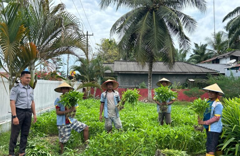 Panen 150 Kg Kangkung! Lapas Labuhan Ruku Dukung Ketahanan Pangan dan Berikan Keterampilan pada Warga Binaan