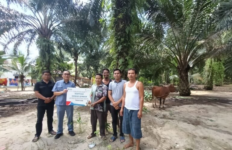 INALUM Tebar Kepedulian Idul Adha 1447 H, 107 Hewan Kurban Disalurkan untuk Masyarakat Sumut