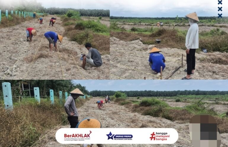 Dukung Ketahanan Pangan, Kalapas Labuhan Ruku Tinjau Lahan Pisang dan Jagung di Air Joman