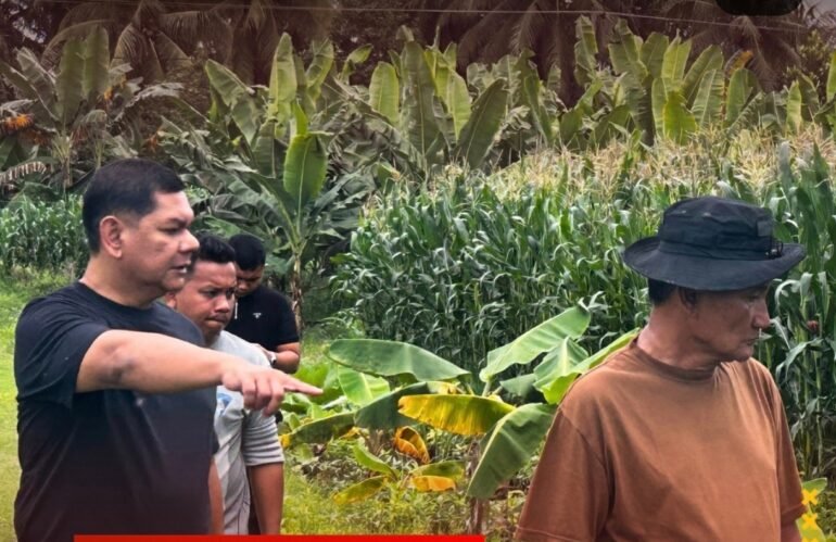 KALAPAS HAMDI TURUN KE LAPANGAN, DRAINASE LAHAN JAGUNG SEGERA DIBENAHI